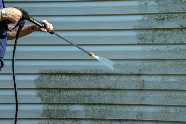Best Roof Pressure Washing  in Naples Manor, FL