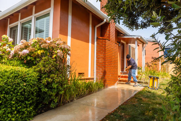 Best Exterior Home Cleaning  in Naples Manor, FL